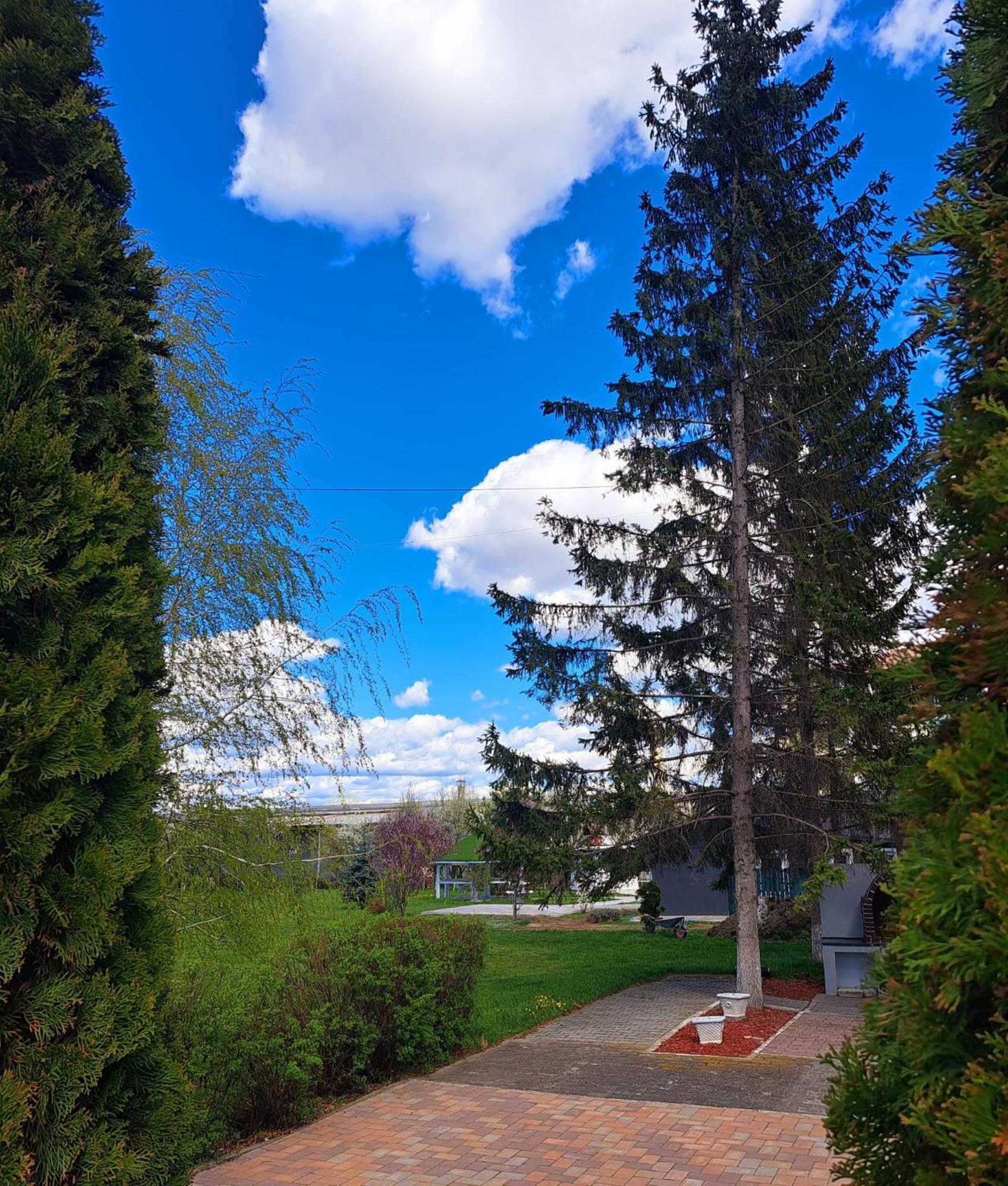 Pensiunea Diamant Ghimbav Exterior foto